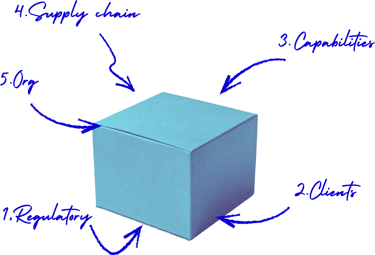 The BOX: a closed box surrounded by your five constraint dimensions: regulatory, clients, capabilities, supply chain and organisation