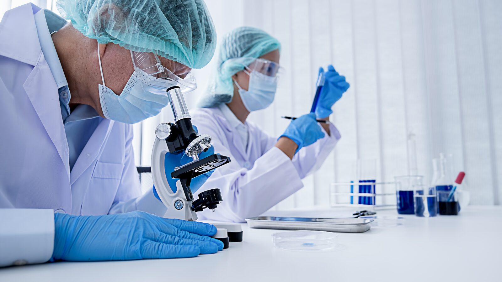 Scientists analysing samples in a nutrition research lab